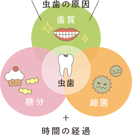 虫歯の原因