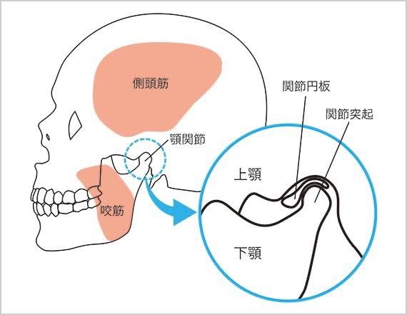 顎関節症に対するセルフケア