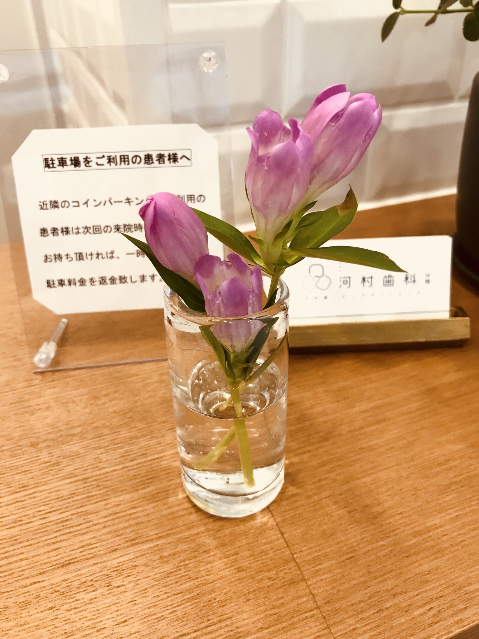 今週のお花です🌷