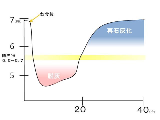 お口の中のpHと唾液の作用